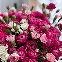 ���� Nikolaj, ��������, 70 ��� - ��������� 4 ��� 2026 � ������ ���� ����������