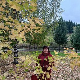 �����, ��������, 77 ���