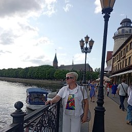 ���� ������, ���������, 49 ��� - ��������� 14 ������� 2023