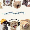 ���� ������, �������, 20 ��� - ��������� 11 ������� 2026 � ������ ���� ����������