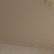 �����, 43 ����, ����