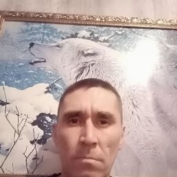 , 39, 