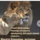 ���� �����, �����, 52 ���� - ��������� 17 ������� 2024 � ������ ���� ����������