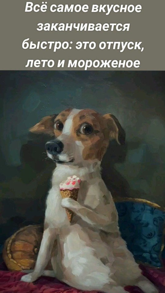   - 17  2024  19:52