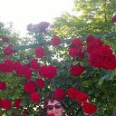 ���� �����, ������, 61 ��� - ��������� 28 ���� 2026 � ������ ���� ����������