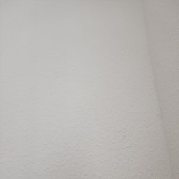 ���� ����, ������, 48 ��� - ��������� 4 ������ 2026