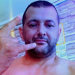 , 38 , 