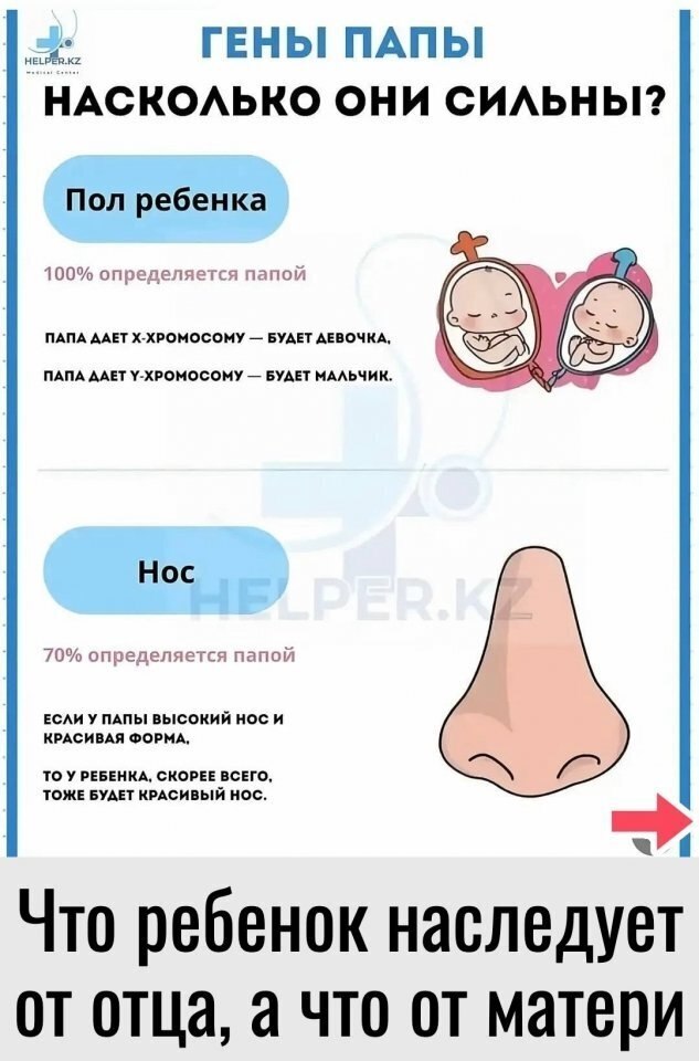 � ��� ��� ��� ���������