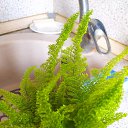 ���������� �� ������� ���� ����������