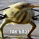 ���� ������, �����, 47 ��� - ��������� 17 ������ 2026