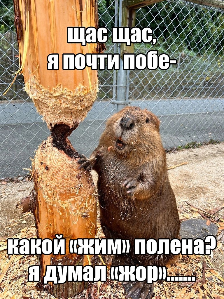 ��������� ���� �� ���������� ������! ������ �� ������� ����������! �� 27 ��������� ������ �������� ... - 3