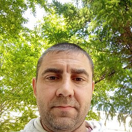 , 42 , 