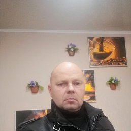 ����, 51 ���, ����