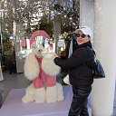 ���� ����, ����, 49 ��� - ��������� 11 ������ 2024 � ������ ���� ����������