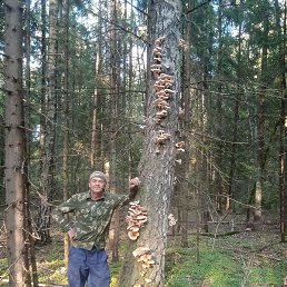 ����, ������, 67 ���