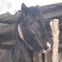 ���� �����, ������, 19 ��� - ��������� 22 ����� 2026