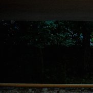 , 33 , 