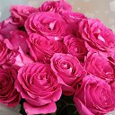 ���� �����, ����� - ��������� 18 ����� 2024 � ������ �����