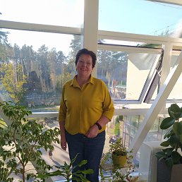 , 65, 