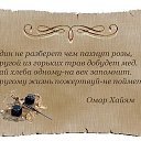 ���� ����, ������� - ��������� 9 �������� 2025 � ������ ��������� ����