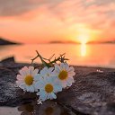 ���� �������, ���������� - ��������� 13 ������� 2024 � ������ ���� ����������