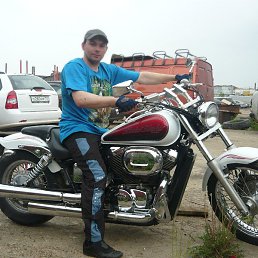 ���� �������, ���������, 41 ���