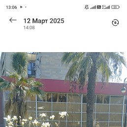  , , 52  -  29  2025
