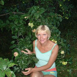 , 51, -