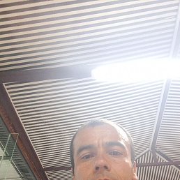 , 27, 