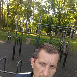 ���� ��������, ����, 41 ��� - ��������� 20 ������� 2026