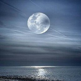 ����, ������, 37 ���