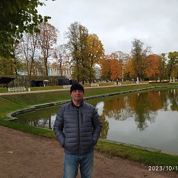, 53, 