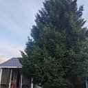 ���� �������, ������, 39 ��� - ��������� 11 ������� 2025 � ������ ���� ����������