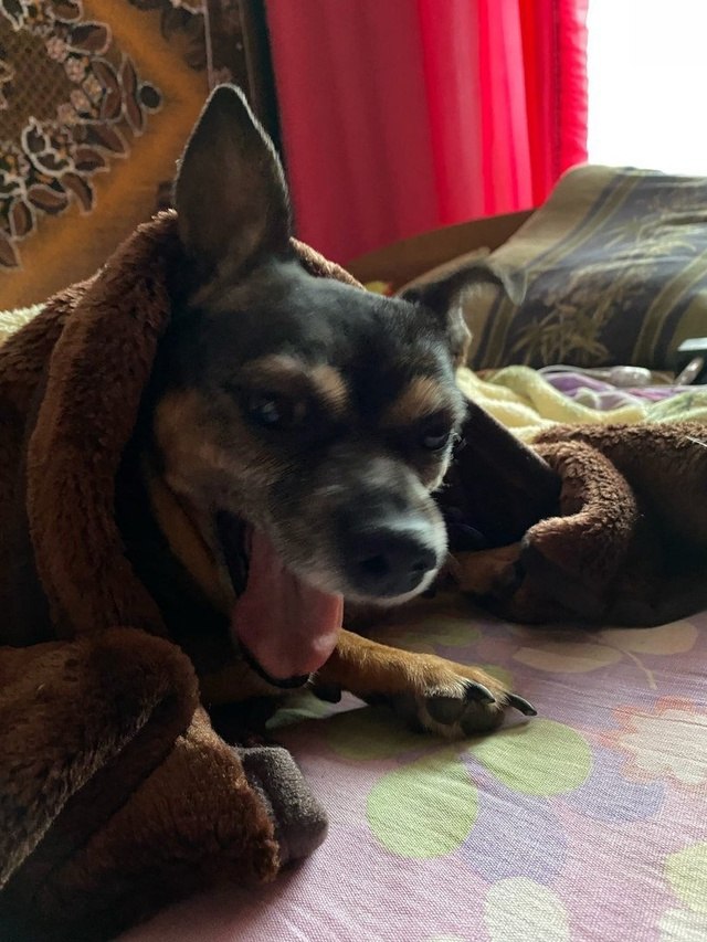     ,    ,           ...