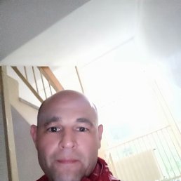 , 44, 