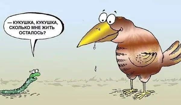 Кстaти, а вы знaли, что у кукушки кукует только самец? То eсть он зовёт кукyшку самку для ...