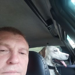 �����, ������, 51 ���