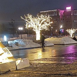 Zalm, ������, 43 ����