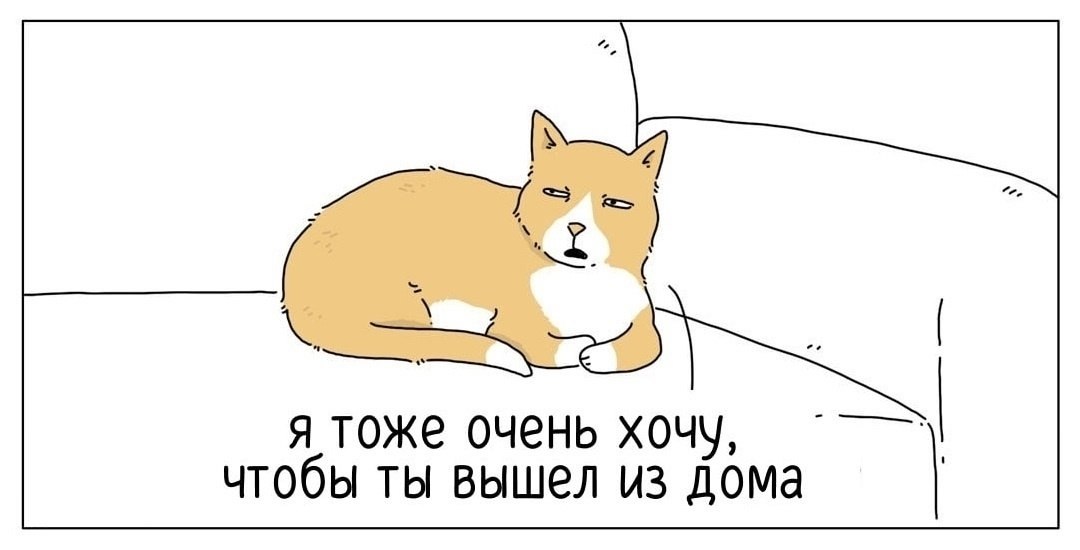 Вы за кошек или собак? - 2