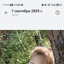 ���� ��������, �����������, 42 ���� - ��������� 29 ����� 2026 � ������ ���� ����������