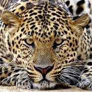 Григорий, 53 года, Саратов Григорий, 53 года, Саратов