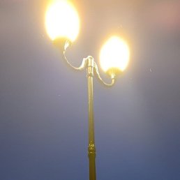 ���� ����� ( �������), ������ ��������, 58 ��� - ��������� 14 ������ 2024