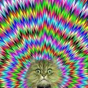 ���� ������, �������, 43 ���� - ��������� 4 ��� 2026 � ������ ������������ (��������)�