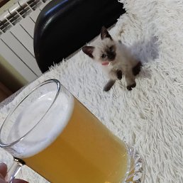 ������, ������, 50 ���