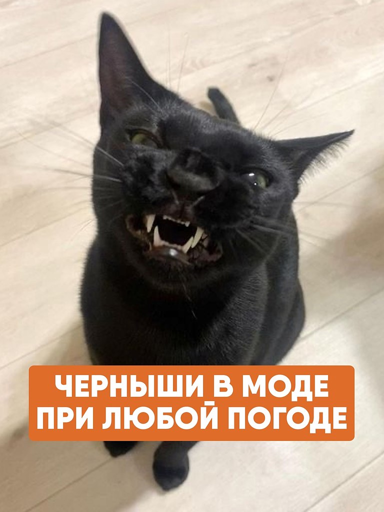 ׸     ,   .      ...