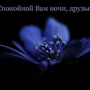���� �����, ������ - ��������� 16 ���� 2026 � ������ ������ ��������