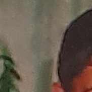 �������, 28 ���, ������