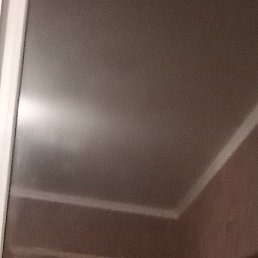 �����, �������, 43 ����