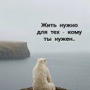  ,  -  27  2025    