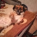  Wladimir, , 63  -  13  2025    